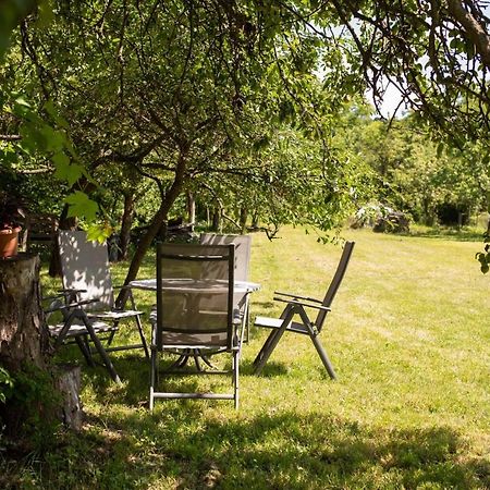 Apartament Barna Fahaz Tarnaszentmaria Zewnętrze zdjęcie